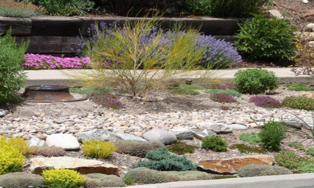 How to Landscape Your Home for Colorado Weather