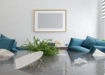 A Vaughan Equipment Rubric for a Water-Affected Living Room