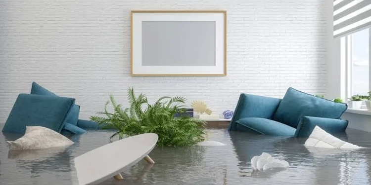 A Vaughan Equipment Rubric for a Water-Affected Living Room